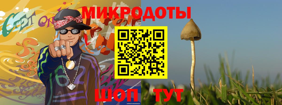 хочу   Псилоцибиновые грибы Magic Shrooms  Вход с VPN  Донецк  Псилоцибиновые грибы мицелий 